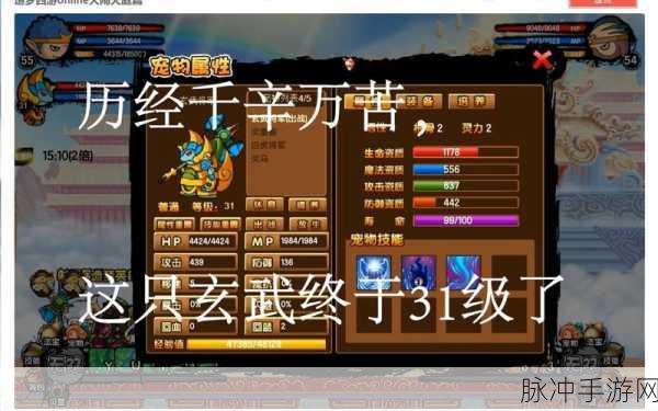 深度解析,一起来捉妖玄武技能获取全攻略