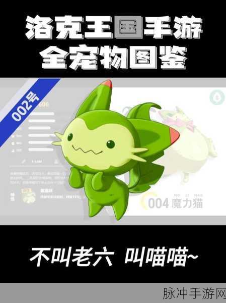 洛克王国深度攻略，喵喵宠物喵呜养成全解析