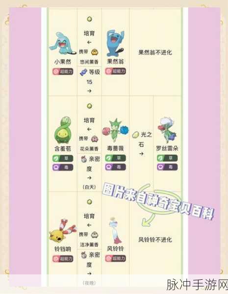 口袋妖怪手游攻略,性别差异下的精灵特性与培养策略