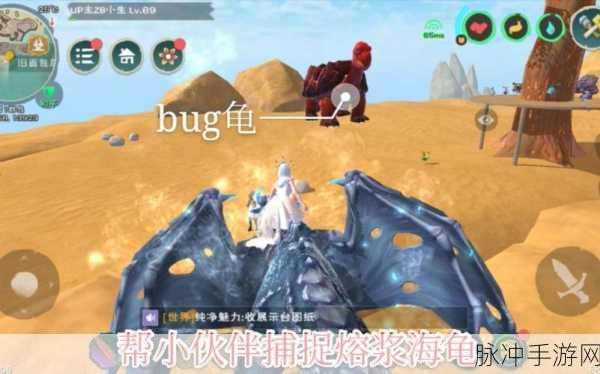火龟秘境深度探索,揭秘创造与魔法中的奇幻之地
