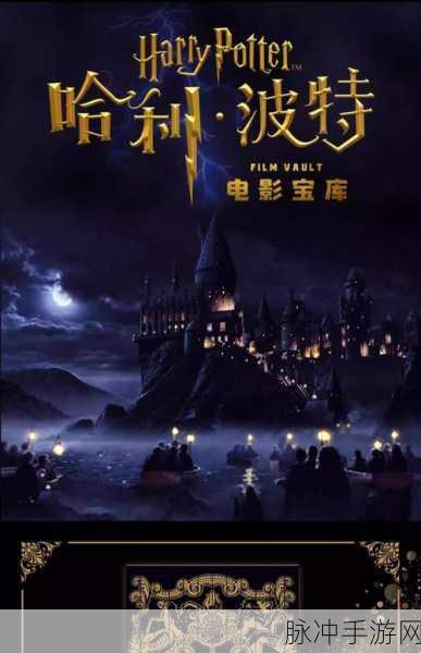 赫奇帕奇魁地奇连胜揭秘,深入哈利波特,魔法觉醒的隐藏线索追踪