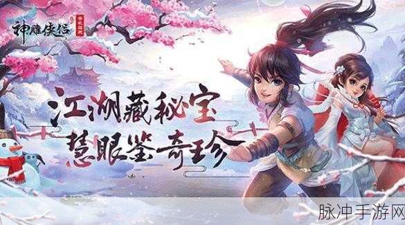 神雕侠侣手游攻略分享，前期高效收益策略实战解析与技巧深度剖析