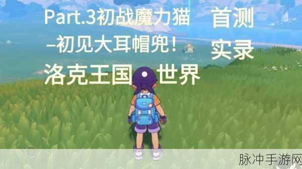 洛克王国大耳帽兜深度攻略,萌宠养成与战斗策略