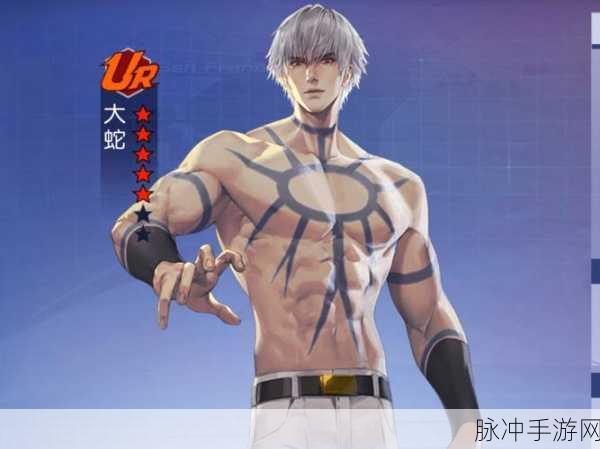 拳皇命运SSR角色实力深度解析与排名