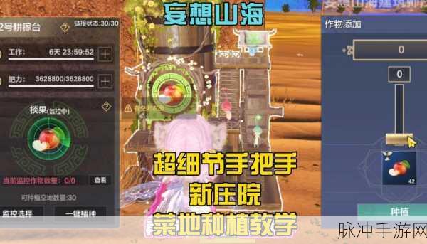 妄想山海手游攻略，探寻石煊的栖息之地