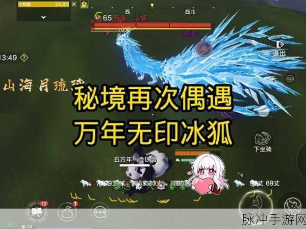 妄想山海手游攻略,探寻石煊的栖息之地