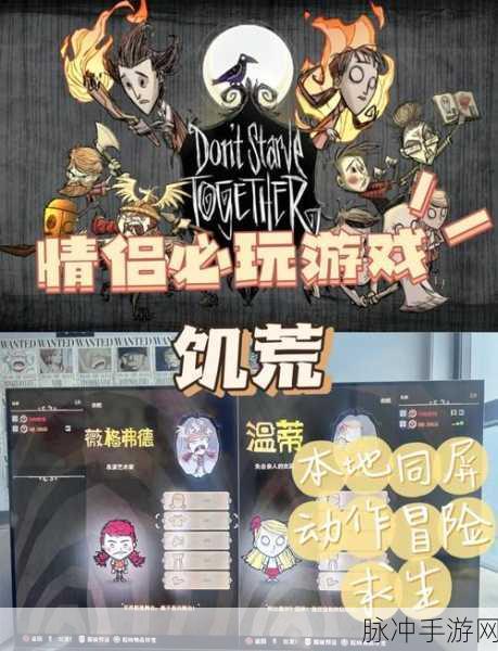 揭秘饥荒游戏背后的秘密,从创意到经典的匠心之旅