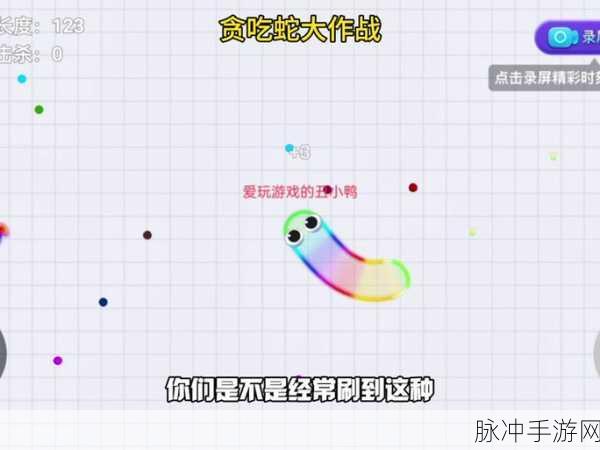 贪吃蛇大作战，深度解析加速转弯难题与灵活操控攻略