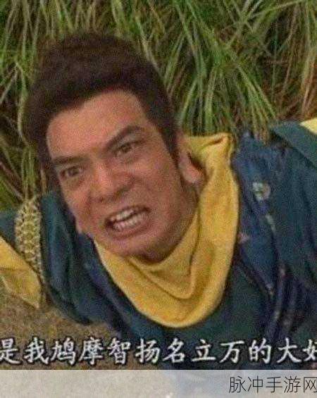 大掌门手游攻略,慕容鸠摩智刷卡技巧深度解析