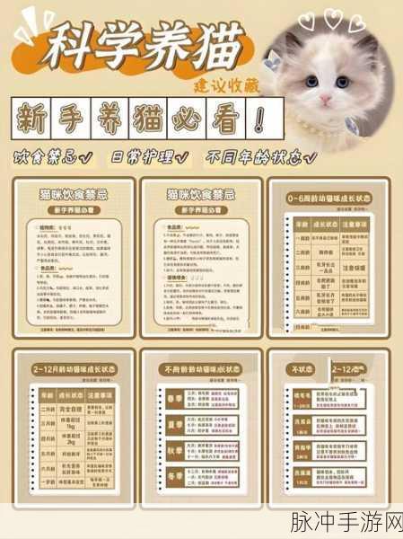 小森生活手游攻略，猫毛球获取方法全解析