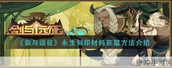 剑与远征永生刻印,全面解析刻印用途与玩法指南