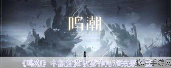 鸣潮初级复苏吸雾，全面解析其作用与效果