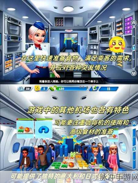 飞机大厨离线汉化版安卓新版,翱翔天际的烹饪冒险之旅