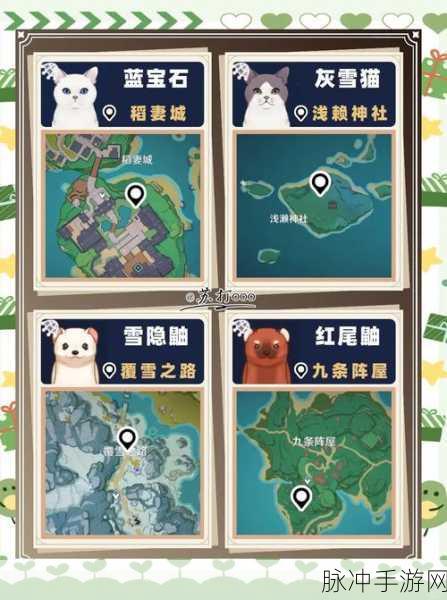 原神青蛙捕捉全攻略,揭秘最佳捕捉地点与高效技巧