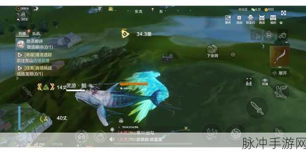 妄想山海羽骏位置一览,全面剖析各大羽骏的分布区域与捕捉策略