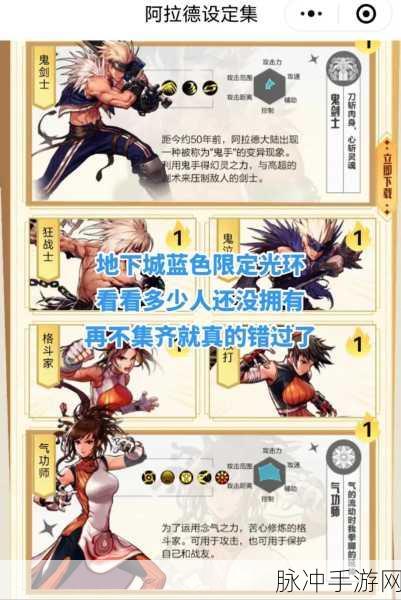 DNF手游攻略，深度解析可交易光环有哪些