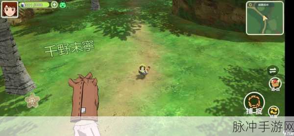 小森生活鸡捕捉方法教程，轻松掌握高效捕鸡技巧