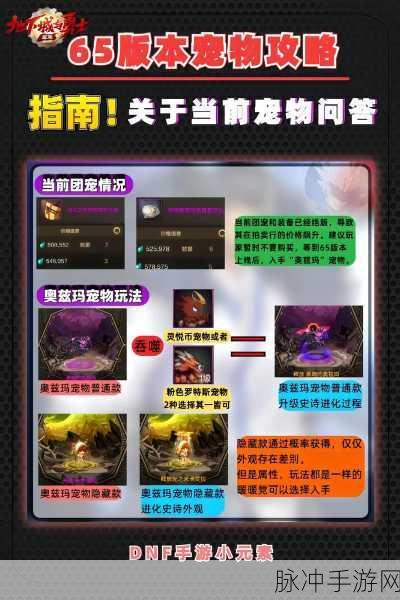 DNF手游宠物属性深度攻略，打造你的专属战斗伙伴