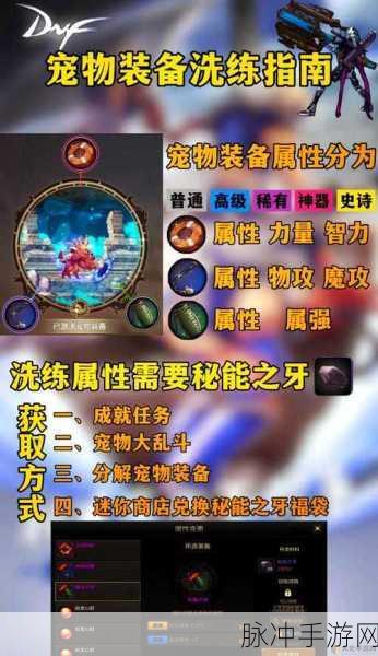 DNF手游宠物属性深度攻略,打造你的专属战斗伙伴