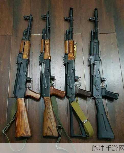 黎明之路步枪大全惊喜揭秘,详尽属性数据与最新枪械亮点