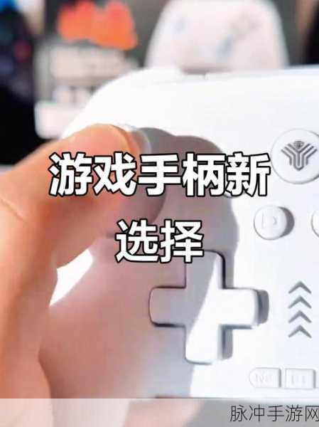和平精英游戏手柄使用全攻略,提升操作体验,畅享指尖战斗