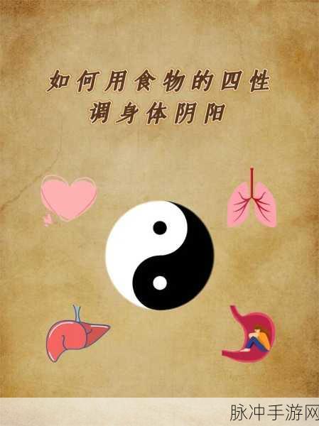 食赤阴阳师，探秘古风饮食文化与阴阳哲学的奇妙交融