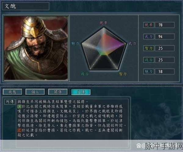 三国志11威力加强版,揭秘所有隐藏武将及其详细介绍