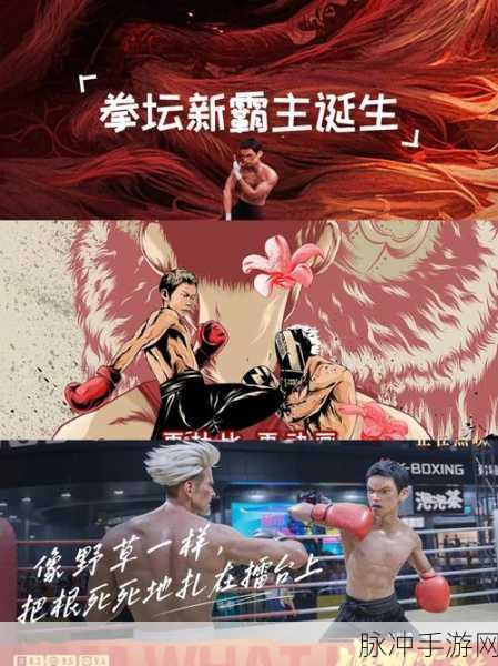 雄狮少年第二季手游联动攻略，热血少年拳战擂台