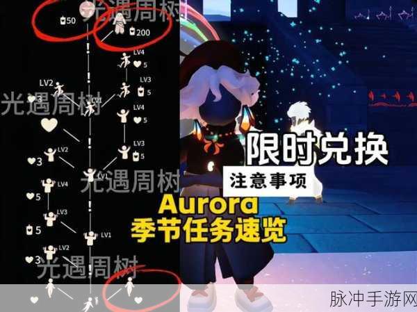 光遇欧若拉季节任务4详细攻略，探索与收集之旅