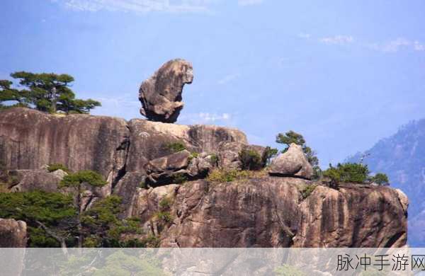 妄想山海中松树的神秘藏身之处,探寻松树数量最多的秘境