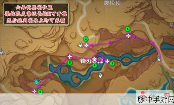 原神六个忧昙花位置全攻略，轻松解锁稀有材料