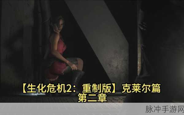 生化危机2重制版S+评价全攻略,里昂克莱尔的极致求生秘籍