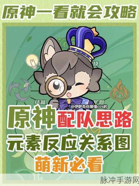 原神深度解析，激化反应与激元素性质之全面解读