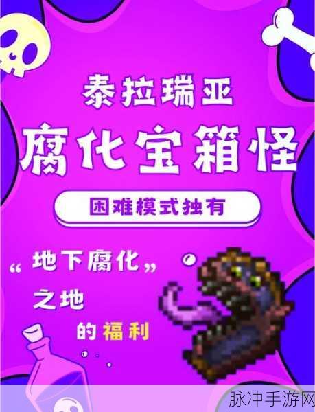 泰拉瑞亚禁戒碎片获取全攻略,解锁神秘力量的钥匙