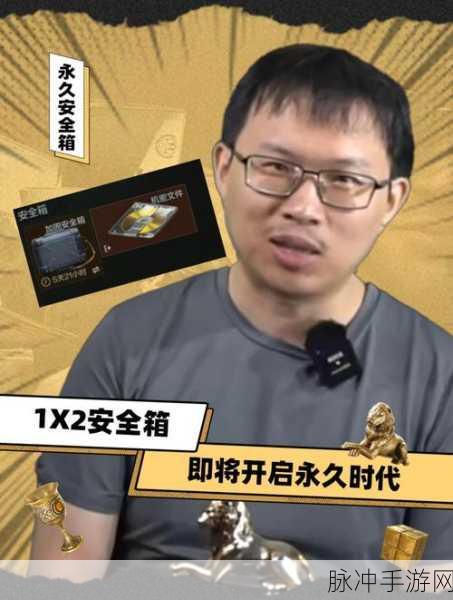 暗区突围游戏攻略，全面揭秘永久安全箱的获取方法与途径