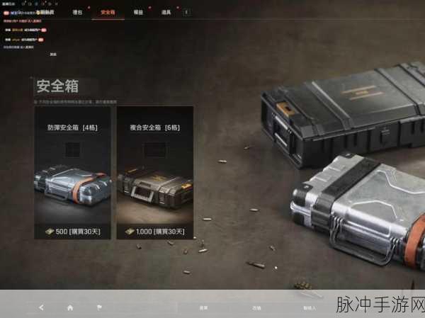 暗区突围游戏攻略，全面揭秘永久安全箱的获取方法与途径