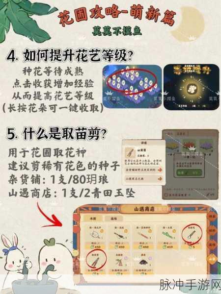桃源深处有人家，小红花位置攻略——寻找隐秘的乐园之花探索指南