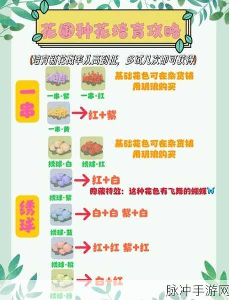 桃源深处有人家,小红花位置攻略——寻找隐秘的乐园之花探索指南