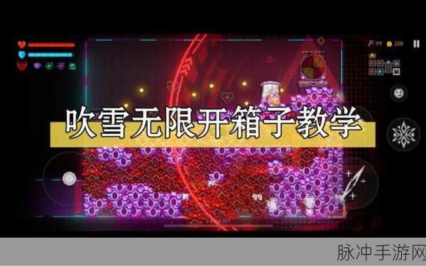霓虹深渊,无限手游攻略——吹雪与红叶深度对比