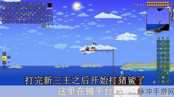 泰拉瑞亚第四章血肉之墙通关全攻略,征服地狱的终极试炼