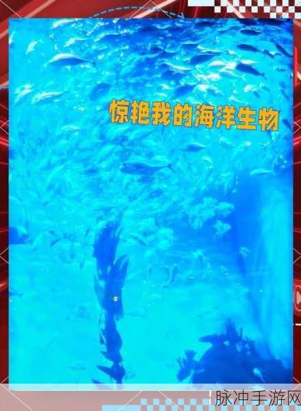 探索海洋奥秘，尽在虚无鱼Baspi手机版，真实模拟喂食的海洋生物养成之旅