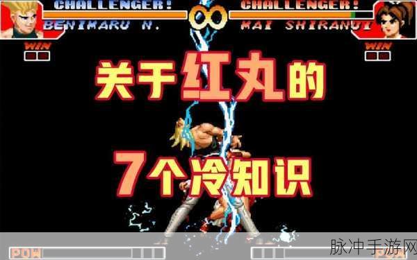 拳皇97手游深度攻略,草字京、红丸、大门技能全解析