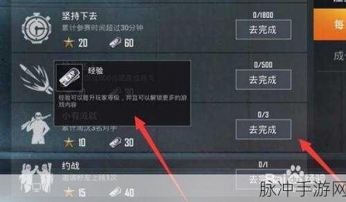 和平精英升级攻略，揭秘升一级所需经验与高效升级策略
