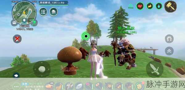 创造与魔法,深度解析坐骑鞍制作方法与技巧