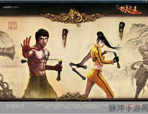 谁是功夫之王,畅享极致动作格斗的游戏盛宴