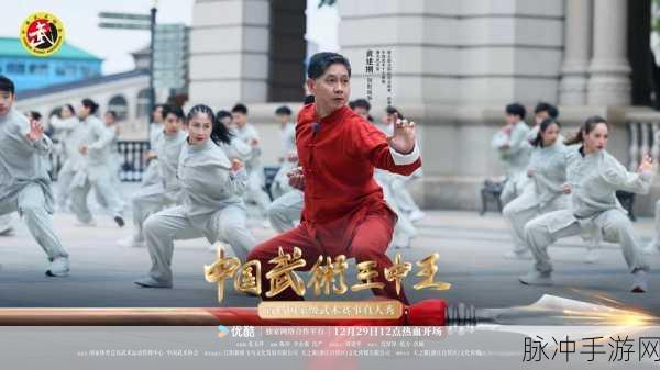 谁是功夫之王,畅享极致动作格斗的游戏盛宴