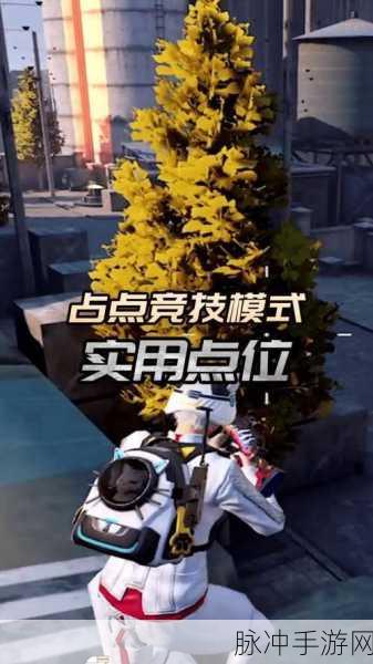 和平精英占点竞技深度攻略,掌握这些获胜小技巧,制霸战场