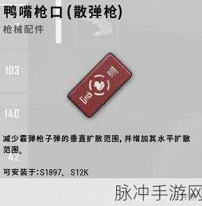 绝地求生步枪快速扩容弹夹深度解析，提升战斗效能的关键配件