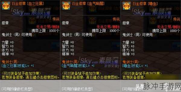 DNF游戏中灿烂徽章镶嵌最优选择指南，打造无敌战力的秘诀