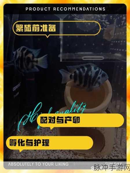 迷你世界鱼类繁衍全攻略，精通养鱼技巧，助力鱼群快速增长